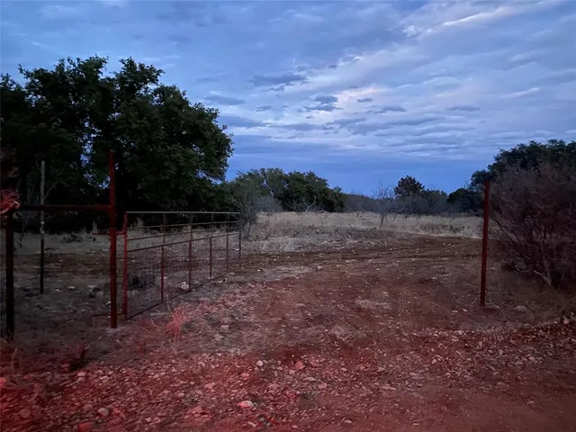 a view of a yard with a tree
