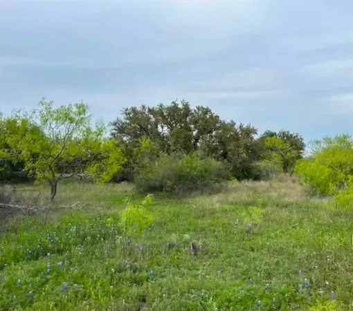 a view of a field of grass and trees