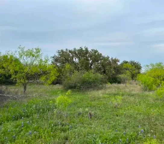 a view of a field of grass and trees