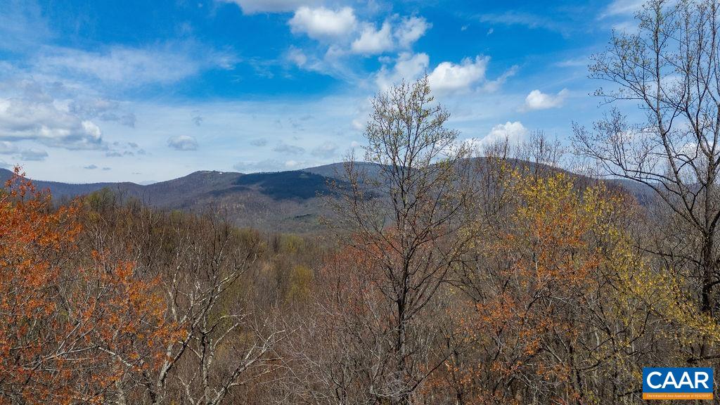 472 Horseshoe Mountain Road Roseland, VA 22967 - Photo 3 of 75