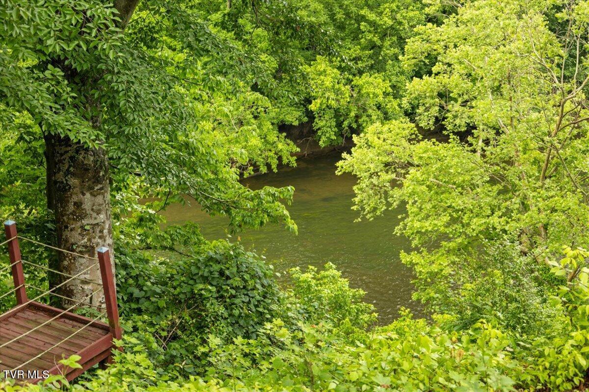 1594 Christian Bend Road Church Hill, TN 37642 - Photo 84 of 123 027-128A2341
