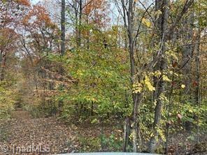 0 Aladdin Road Pfafftown, NC 27040 - Photo 13 of 17