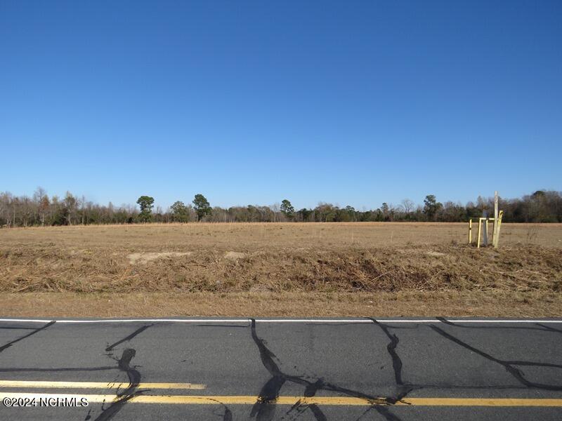 Tbd Odum Road Lumberton, NC 28360 - Photo 13 of 15 IMG_7348