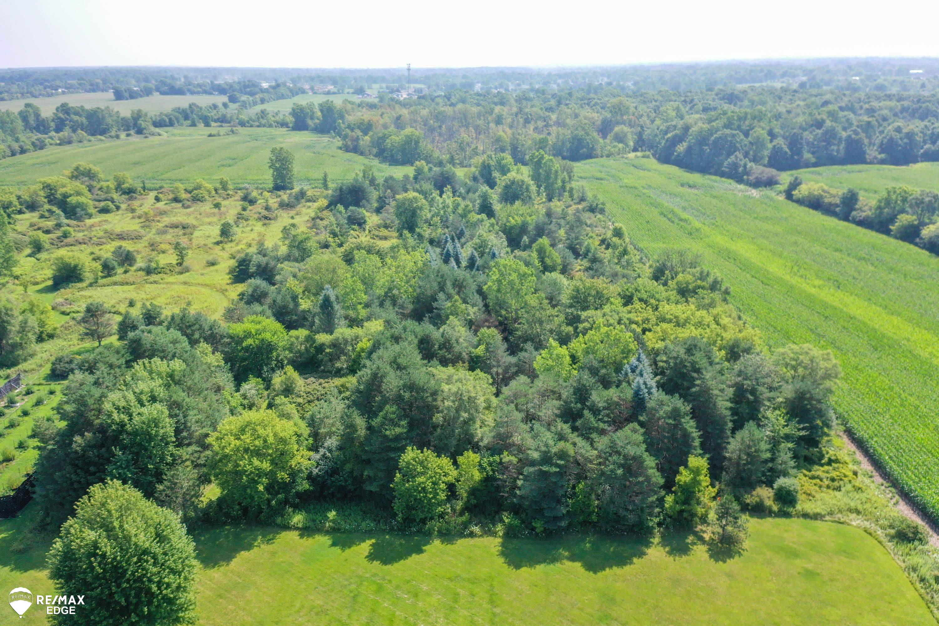 4308 North Gale Road Davison, MI 48423 - Photo 39 of 43