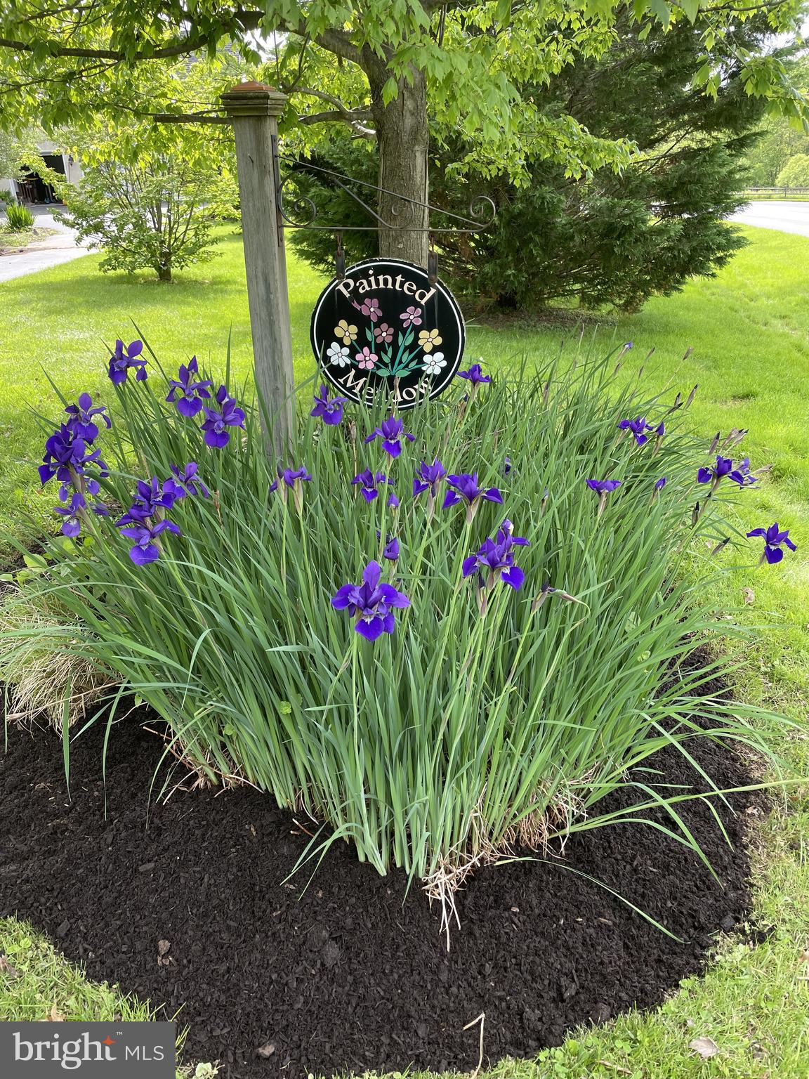 140 Brownbacks Church Road Spring City, PA 19475 - Photo 3 of 65 Painted Meadows Welcome Sign