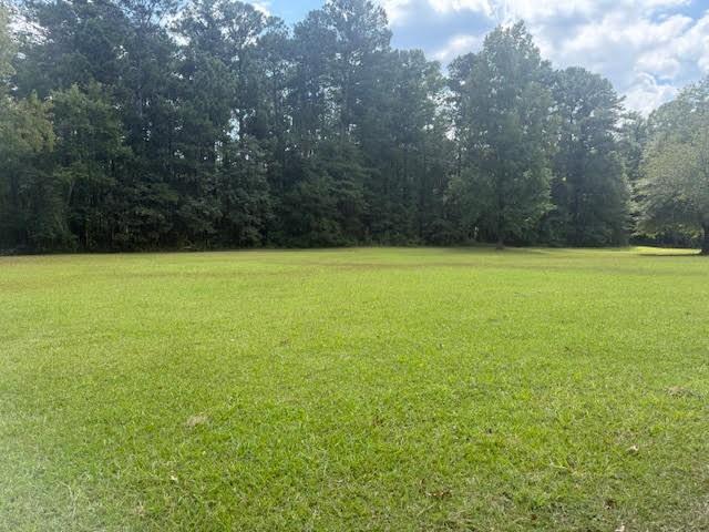290 New Hope Road McDonough, GA 30252 - Photo 3 of 21 a view of an ocean from a yard