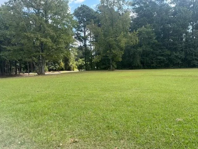 a view of a field with a trees