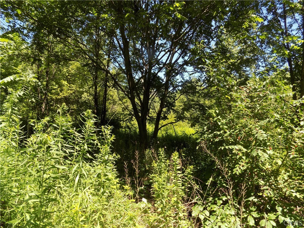 7760 Ny Route 79 Road Whitney Point, NY 13862 - Photo 10 of 23