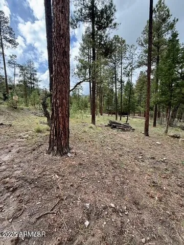 $65,000 | 7 Eric Lane, Unit 28, Alpine, AZ 85920