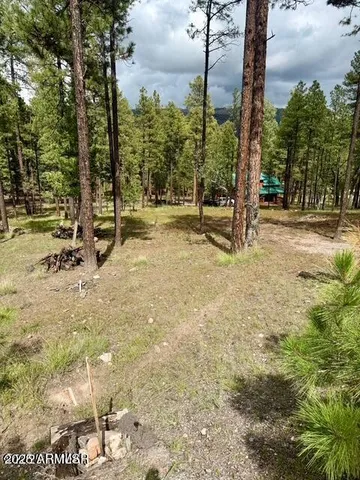 $65,000 | 7 Eric Lane, Unit 28, Alpine, AZ 85920