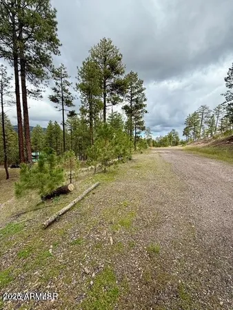 $65,000 | 7 Eric Lane, Unit 28, Alpine, AZ 85920