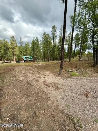 $65,000 | 7 Eric Lane, Unit 28, Alpine, AZ 85920