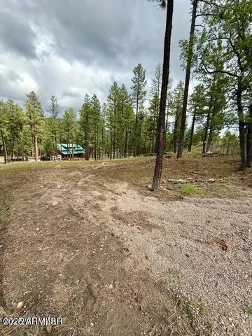 $65,000 | 7 Eric Lane, Unit 28, Alpine, AZ 85920