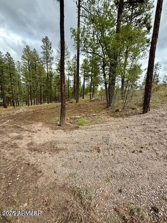 $65,000 | 7 Eric Lane, Unit 28, Alpine, AZ 85920