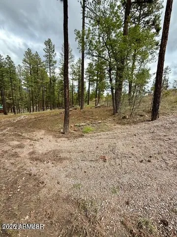 $65,000 | 7 Eric Lane, Unit 28, Alpine, AZ 85920