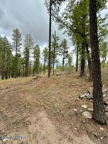 $65,000 | 7 Eric Lane, Unit 28, Alpine, AZ 85920