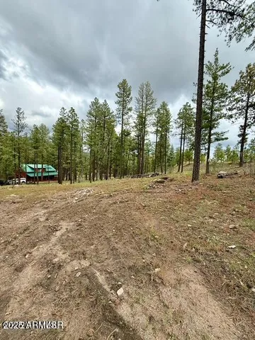 $65,000 | 7 Eric Lane, Unit 28, Alpine, AZ 85920