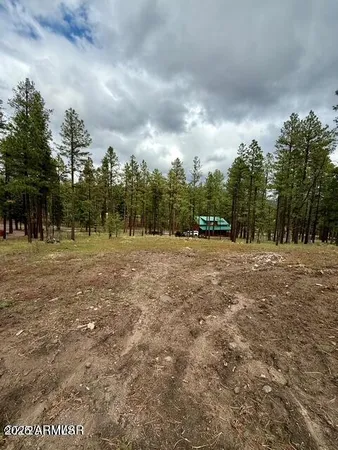 $65,000 | 7 Eric Lane, Unit 28, Alpine, AZ 85920