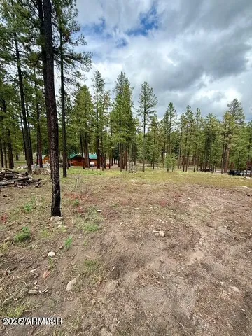 $65,000 | 7 Eric Lane, Unit 28, Alpine, AZ 85920
