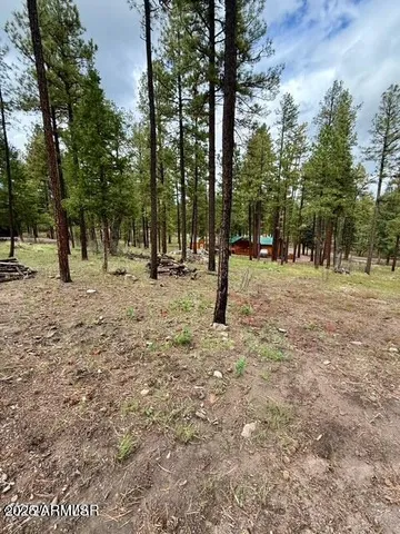 $65,000 | 7 Eric Lane, Unit 28, Alpine, AZ 85920