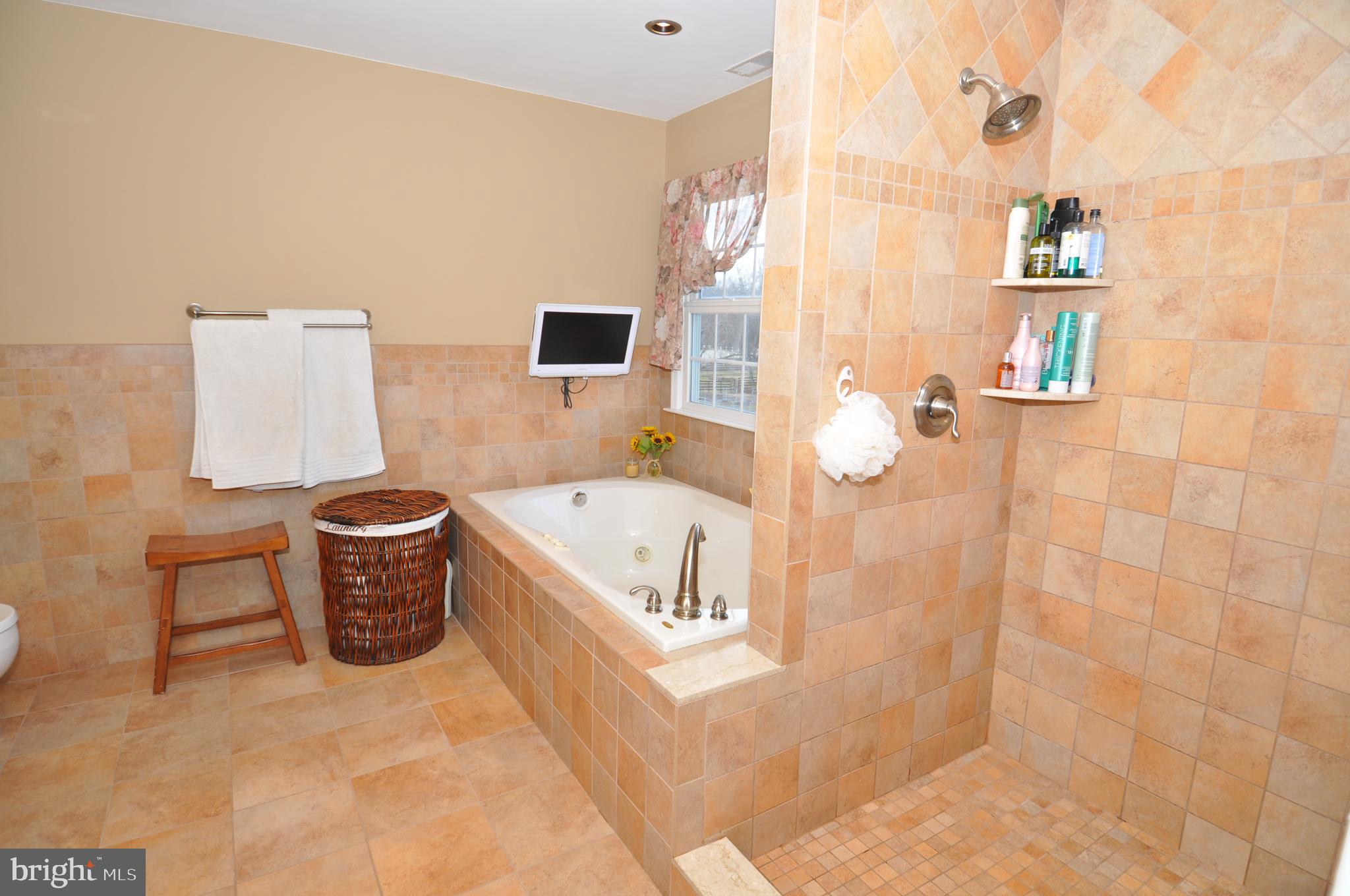137 Springfield Meeting House Road Jobstown, NJ 08041 - Photo 31 of 67 Main Bath with soaking tub