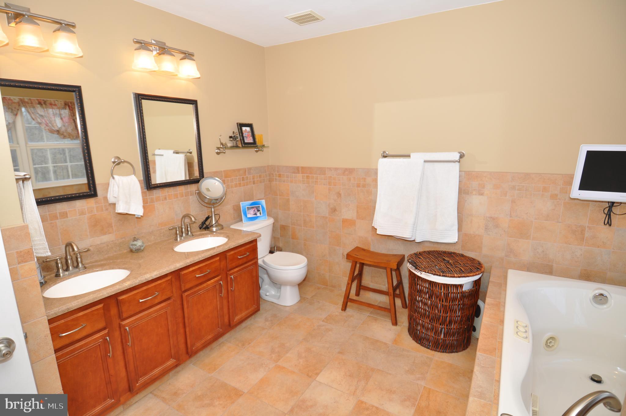 137 Springfield Meeting House Road Jobstown, NJ 08041 - Photo 32 of 67 Main Bath with double sink