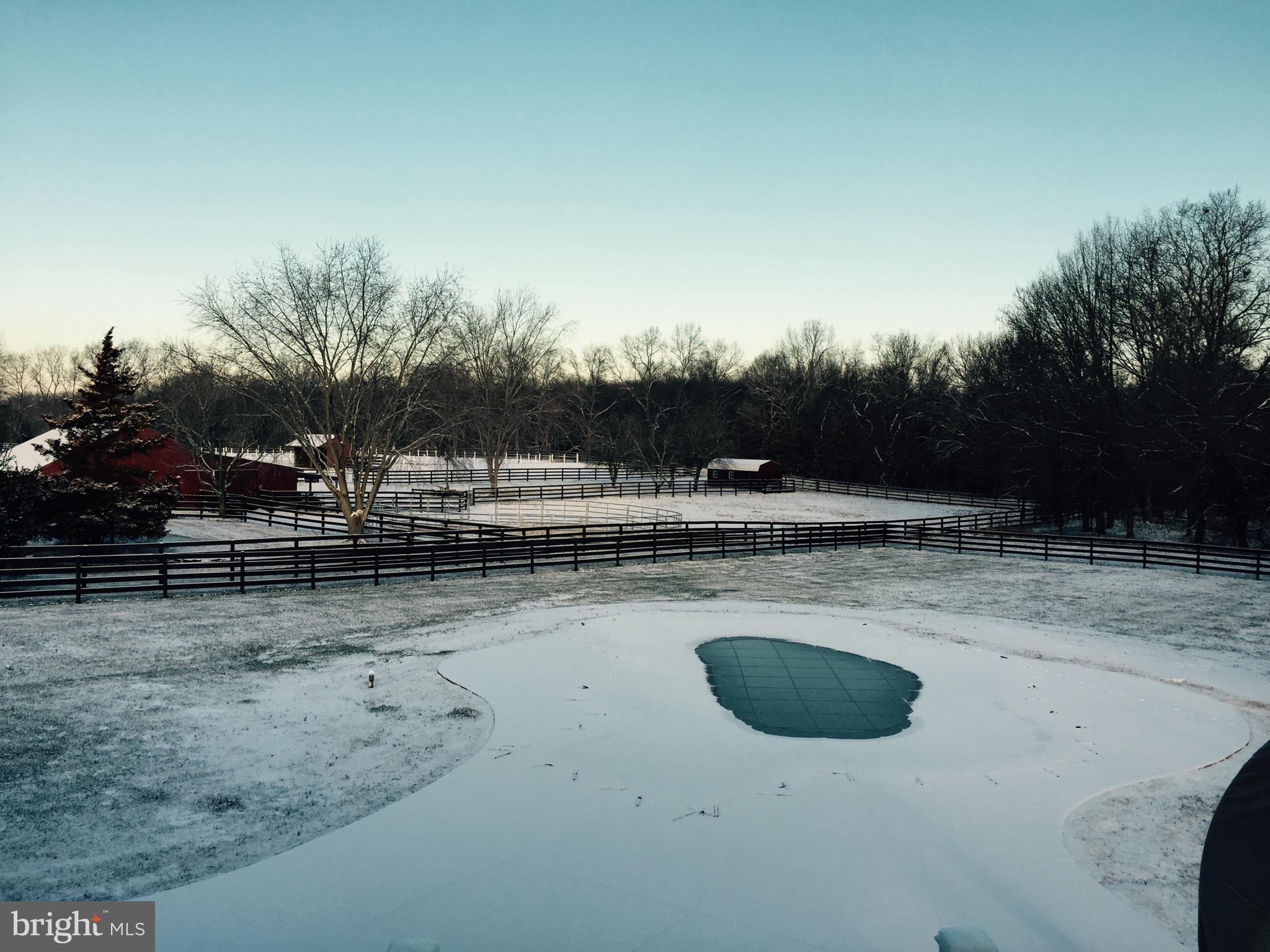 137 Springfield Meeting House Road Jobstown, NJ 08041 - Photo 56 of 67 Snow-covered pool
