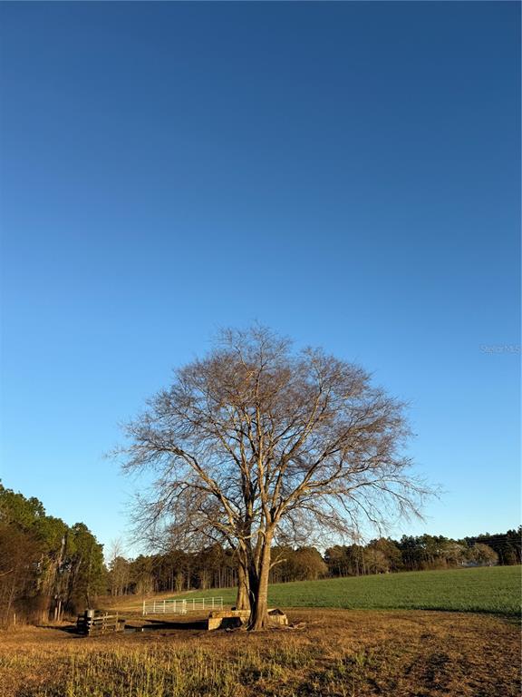 121 Southeast St Road Morriston, FL 32668 - Photo 2 of 4 a view of lake with mountain