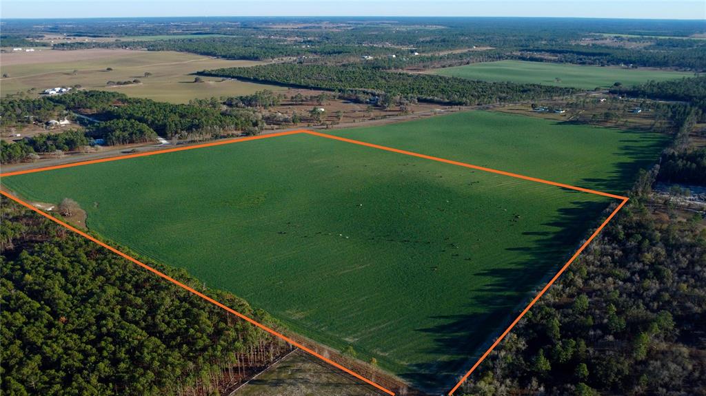 121 Southeast St Road Morriston, FL 32668 - Photo 4 of 4 an aerial view of a golf course with lake view