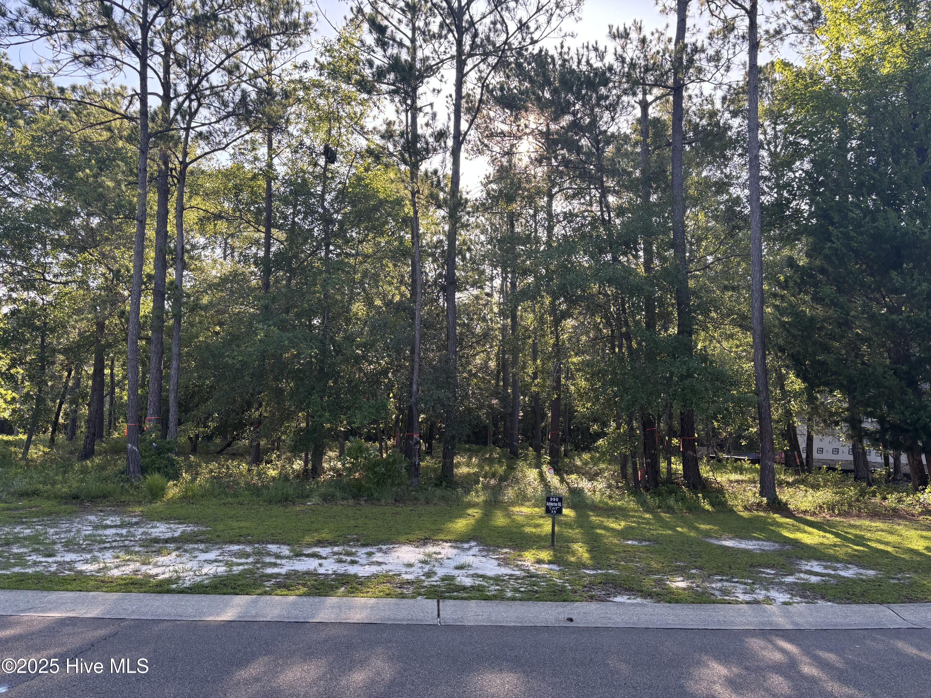 990 Ashburton Road Southeast Bolivia, NC 28422 - Photo 2 of 23 9902