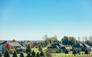 a view of a park with palm trees