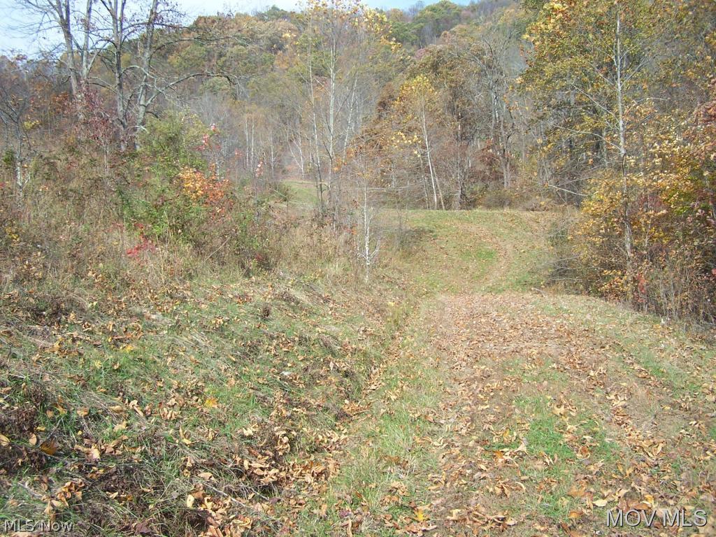 0 Uler Road Newton, WV 25266 - Photo 10 of 11 Road to wooded areas