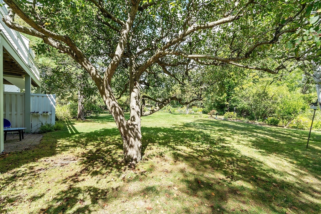 1 Concord Greene, Unit 7 Concord, MA 01742 - Photo 13 of 31 a big yard with lots of green space and house in the back