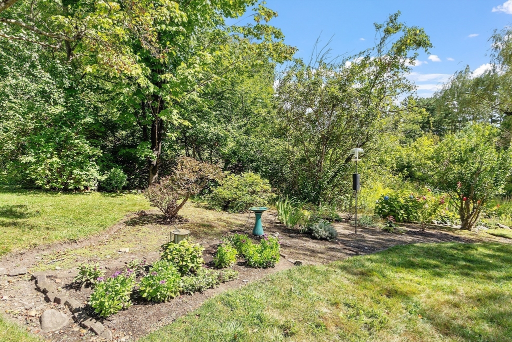 1 Concord Greene, Unit 7 Concord, MA 01742 - Photo 14 of 31 a view of yard with green space