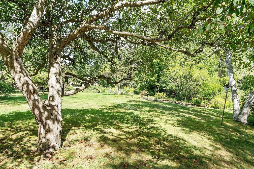 1 Concord Greene, Unit 7 Concord, MA 01742 - Photo 30 of 31 a yard with a trees