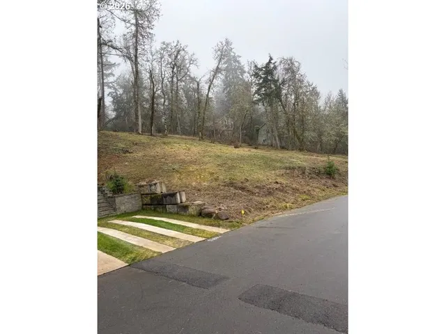 a view of a outdoor space with trees in the background