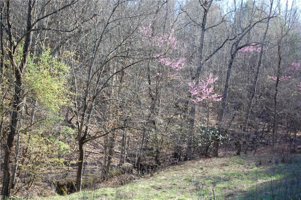 0 C CC Camp Road Elkin, NC 28621 - Photo 14 of 30 Gallery Image 14