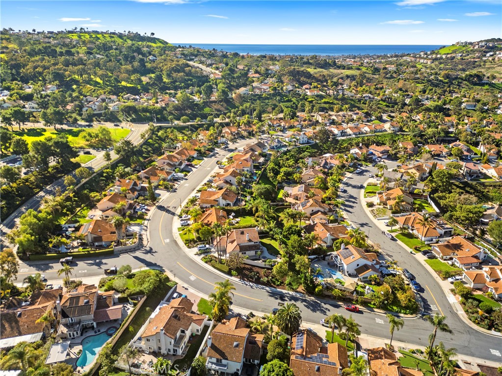 2865 Riachuelo San Clemente, CA 92673 - Photo 29 of 35 view of city