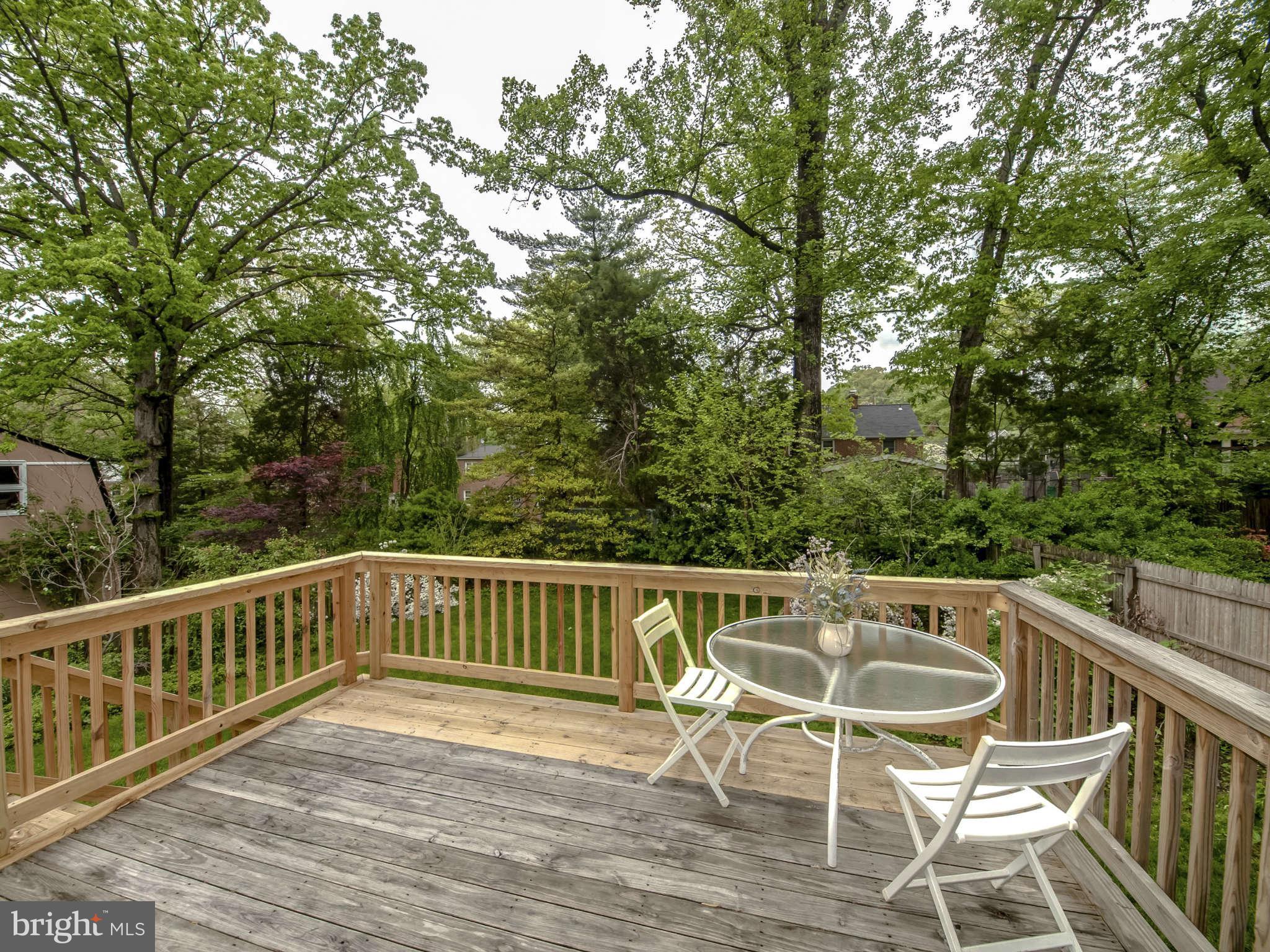 4505 Saul Road Kensington, MD 20895 - Photo 14 of 30 Exterior (General)