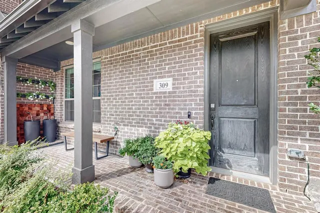 a potted plant in front of a glass door