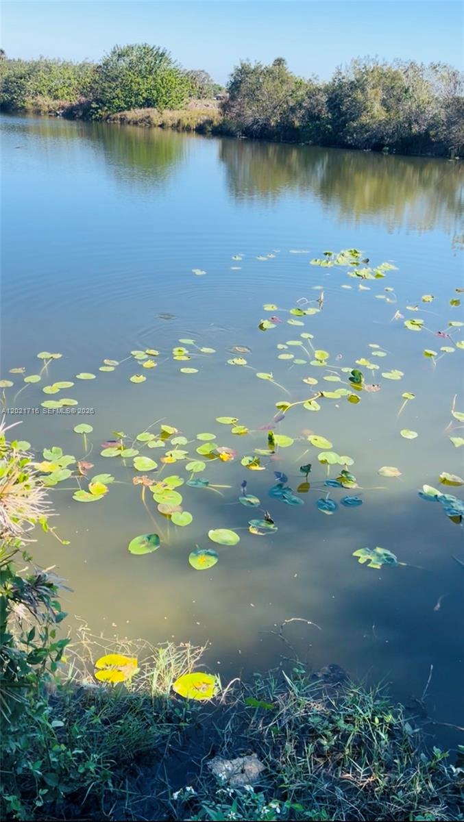 1326 Red Barn Rd N West Moore Haven, FL 33471 - Photo 13 of 13 a view of a lake in between two trees
