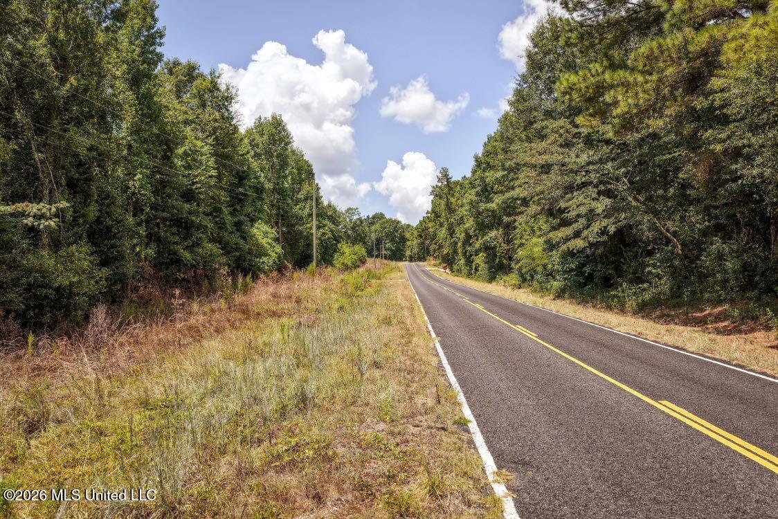 Joe Booth Road Taylorsville, MS 39168 - Photo 19 of 34 DJI_20260813121305_0626_D