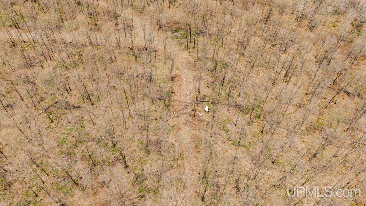 Tbd Hupp Road Vulcan, MI 49892 - Photo 8 of 12
