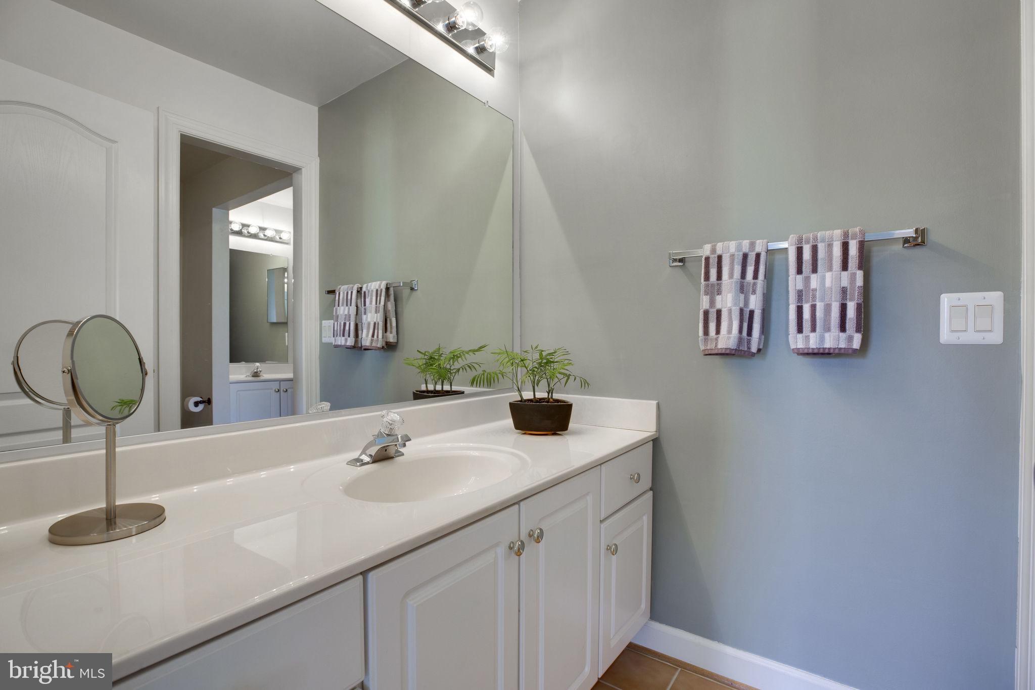 12110 North Walnut Branch Road Reston, VA 20194 - Photo 22 of 58 Jack and Jill Bath