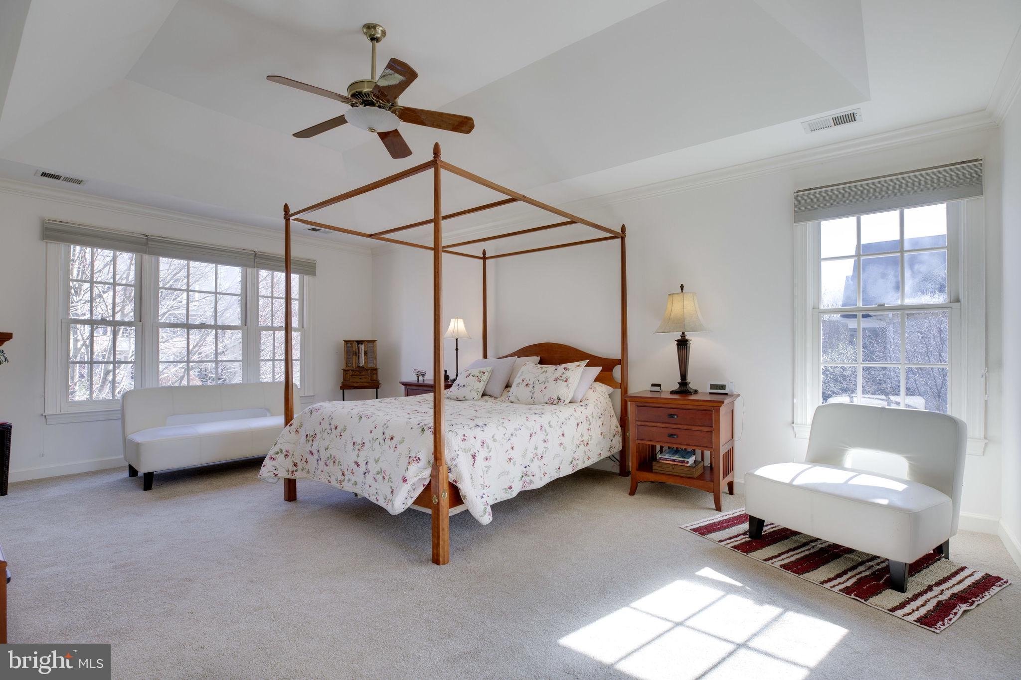 12110 North Walnut Branch Road Reston, VA 20194 - Photo 30 of 58 Master Bedroom with Lots of Space and Windows