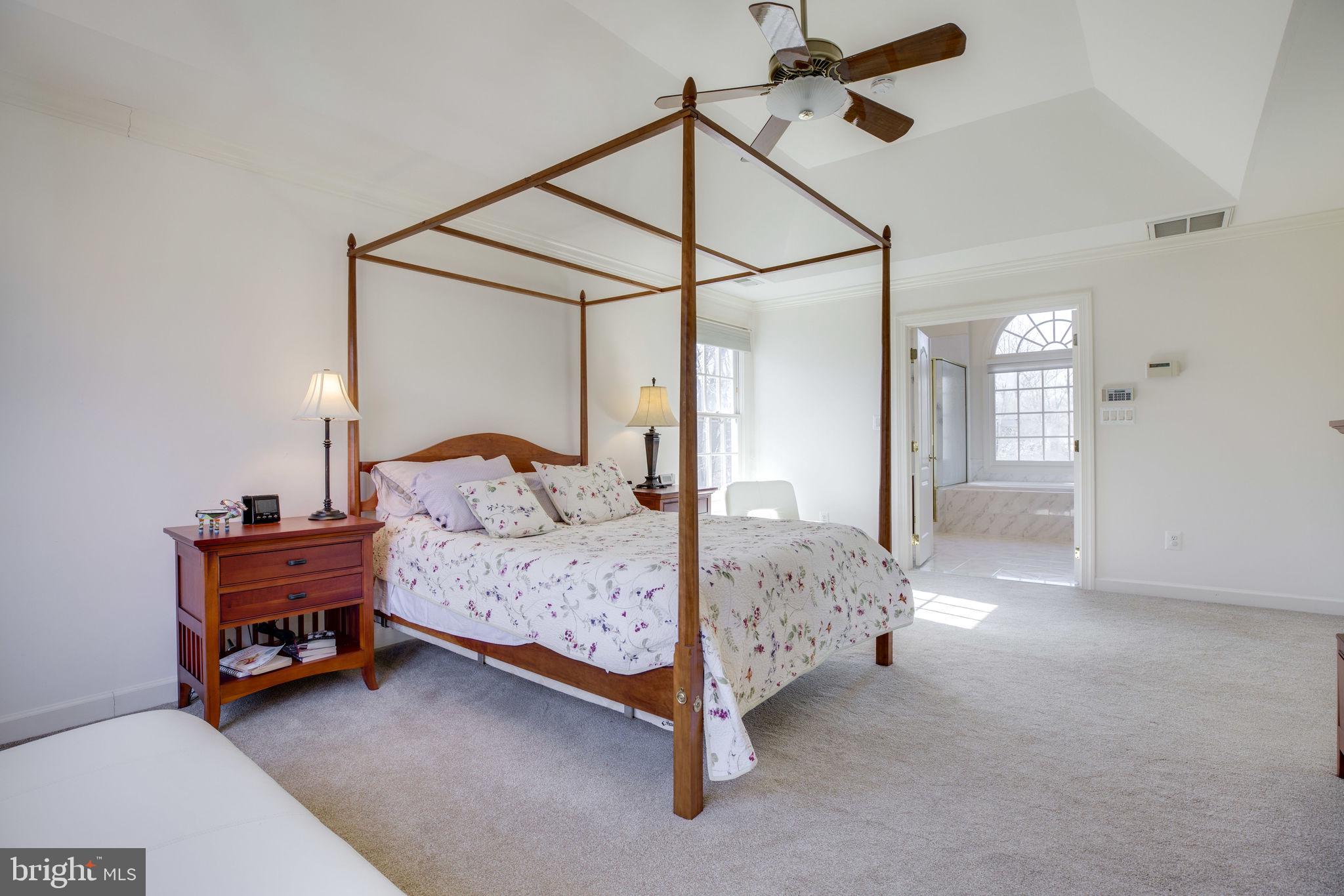 12110 North Walnut Branch Road Reston, VA 20194 - Photo 31 of 58 Master with view into Bath