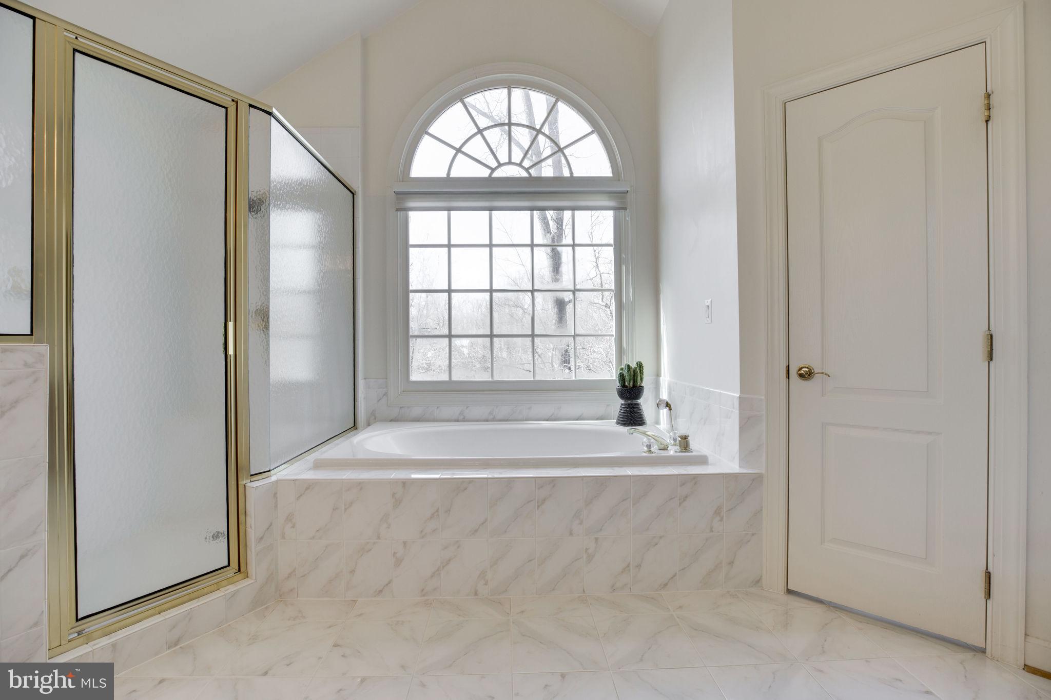 12110 North Walnut Branch Road Reston, VA 20194 - Photo 32 of 58 Separate Tub/Shower