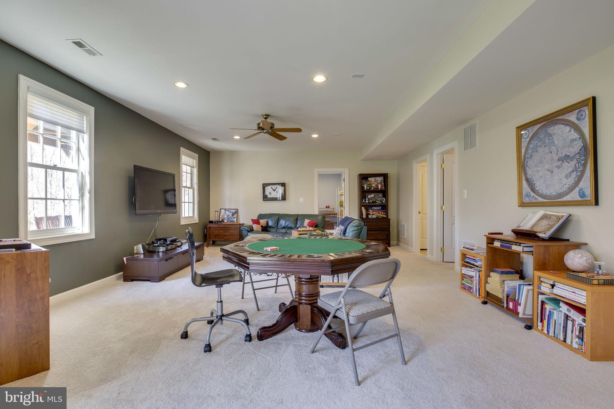 12110 North Walnut Branch Road Reston, VA 20194 - Photo 38 of 58 Game Area