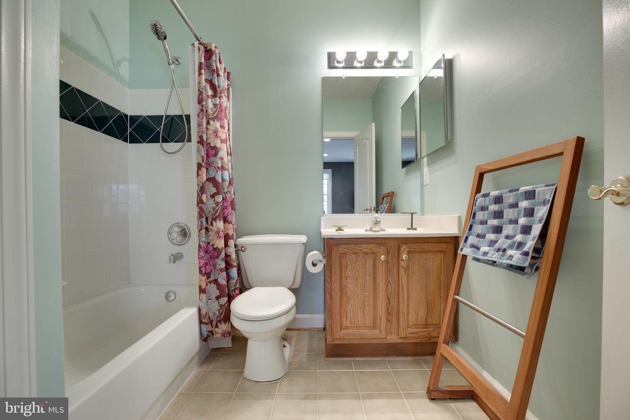 12110 North Walnut Branch Road Reston, VA 20194 - Photo 41 of 58 Bath on Lower Level