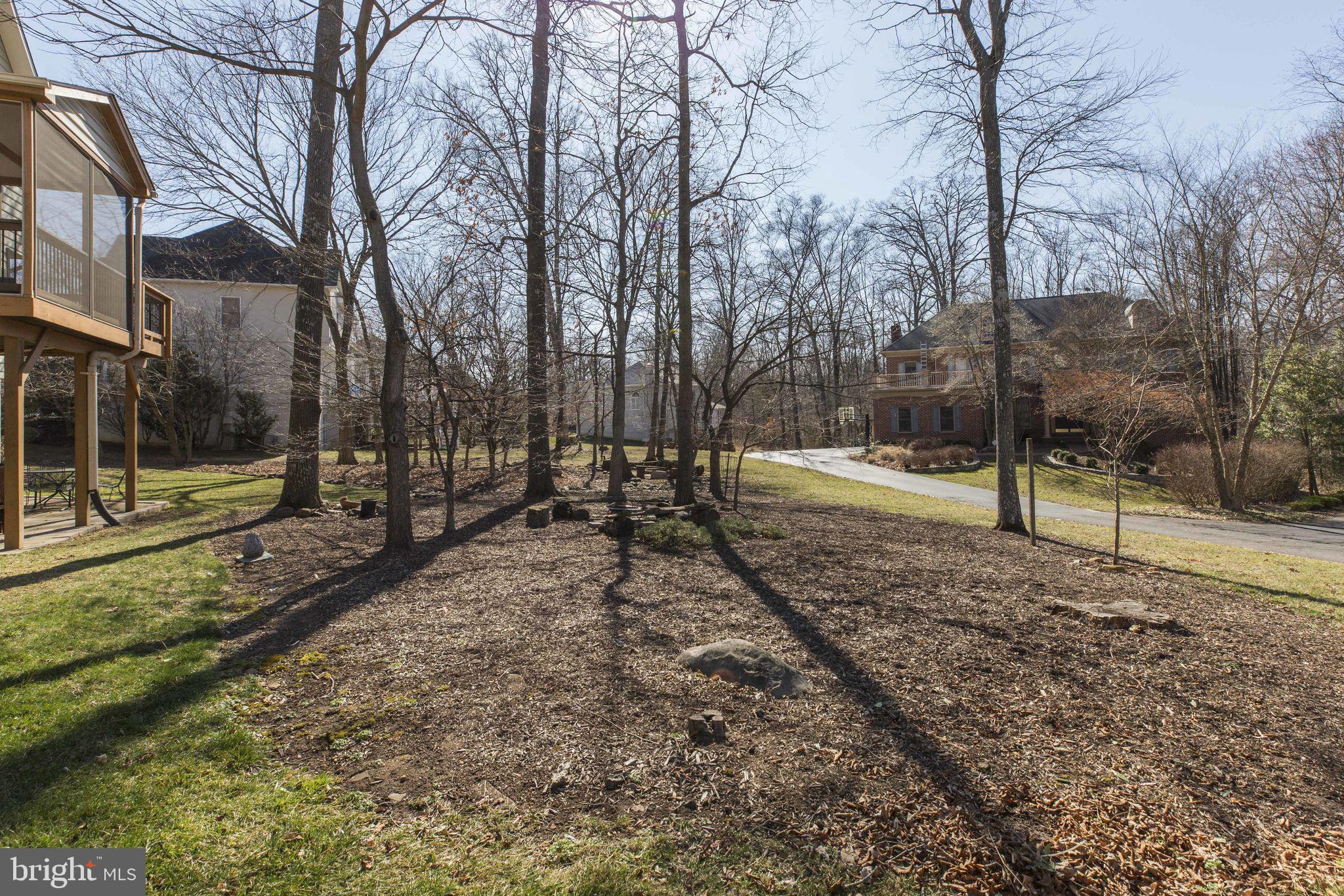12110 North Walnut Branch Road Reston, VA 20194 - Photo 47 of 58 Great for Privacy!